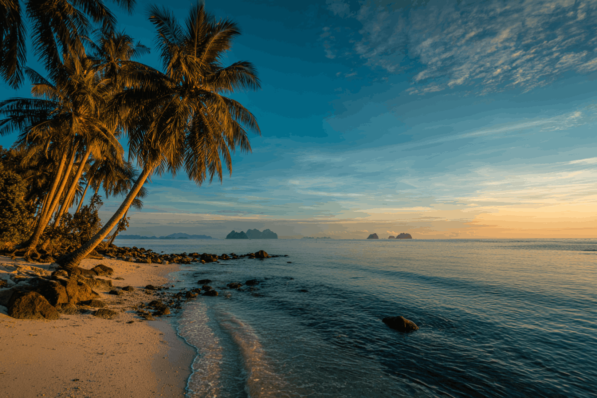 Travel