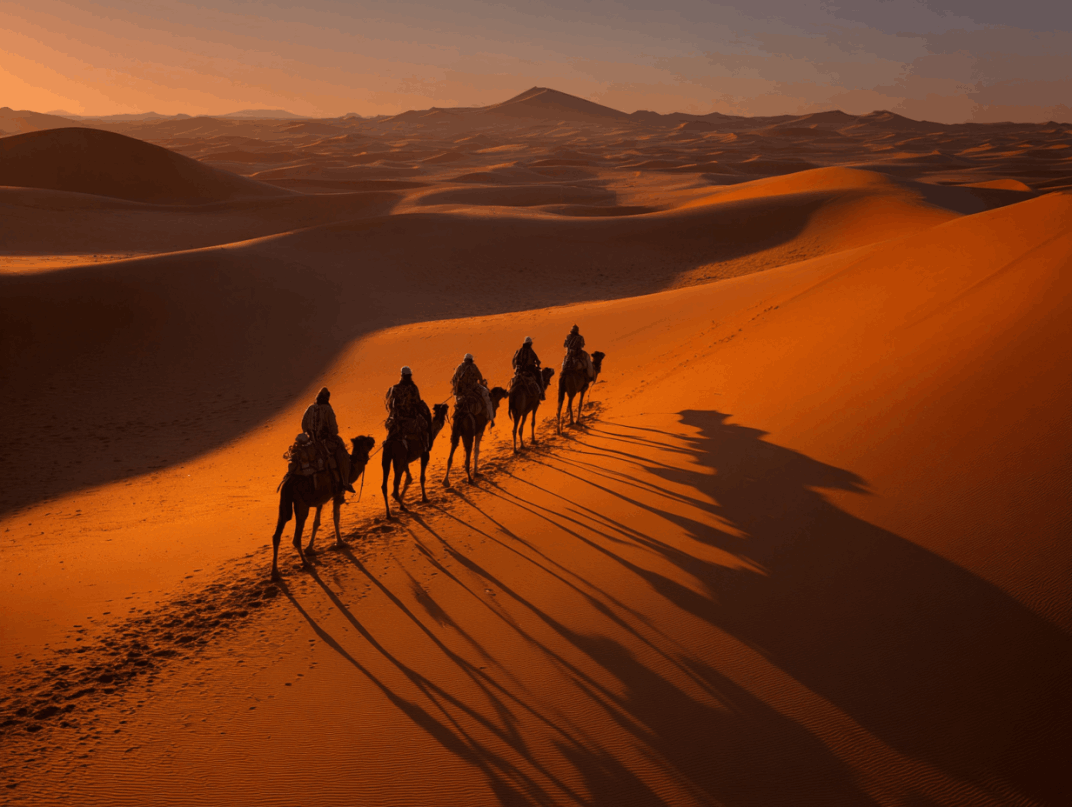 Travel